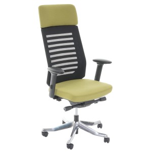 Silla de oficina LIENA PRO, respaldo ergonómico, en tela y malla, color verde