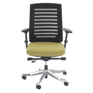 Silla de oficina LIENA, respaldo ergonómico, en tela y malla, color verde