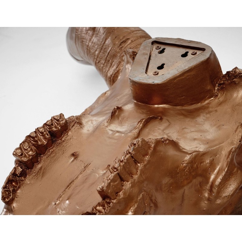 Decoración pared TAURO 64x64x21 cm, color Bronce