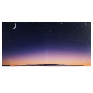 Cuadro LED AURORA, con iluminación, 50x100 cm