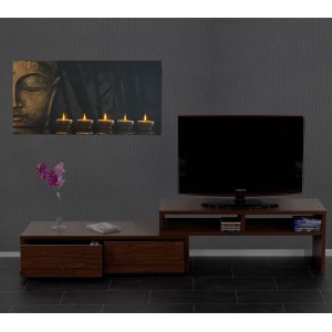 Cuadro LED BUDDHA, con iluminación, 55x110 cm