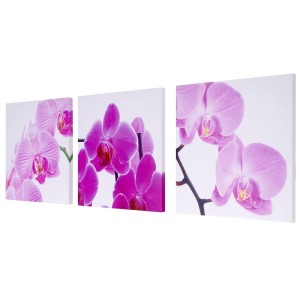 Cuadro 3 piezas ORQUIDEAS ROSAS, 50x150 cm