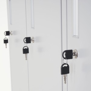 Taquilla metálica EVELIN, 180x90x50 cm, en acero gris