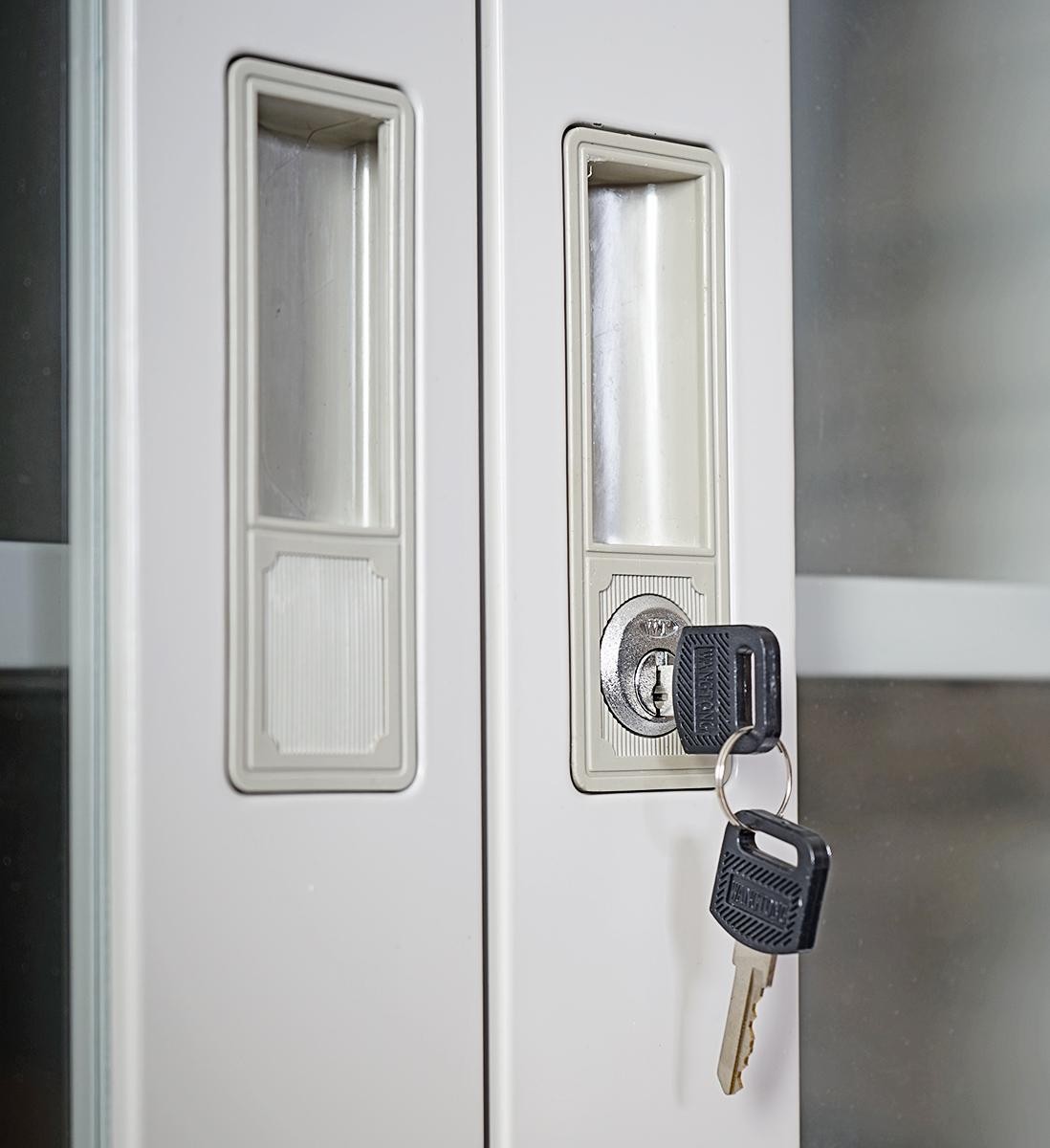 Armario Archivador HALVAR 2 PUERTAS (Gran Cristal), 170x70x39cm, en Acero, Color Gris Claro