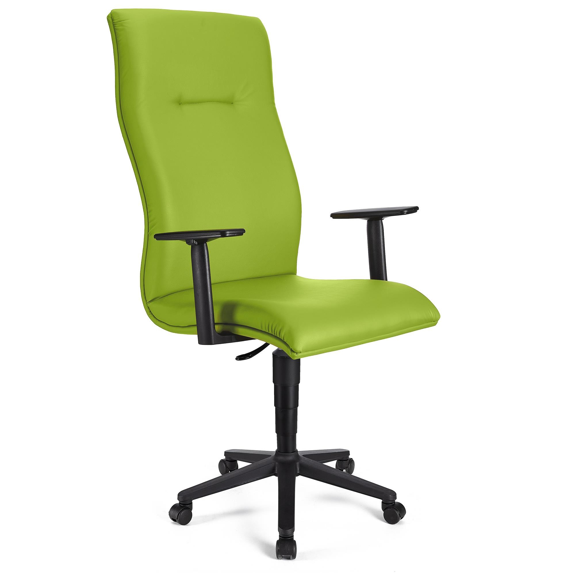 Sillón de Oficina ANIBAL PIEL, Respaldo Alto, Brazos Ajustables, Acolchado en Color Negro