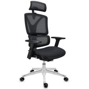 Silla ergonómica APOLO, ajustable y de gran calidad, negro