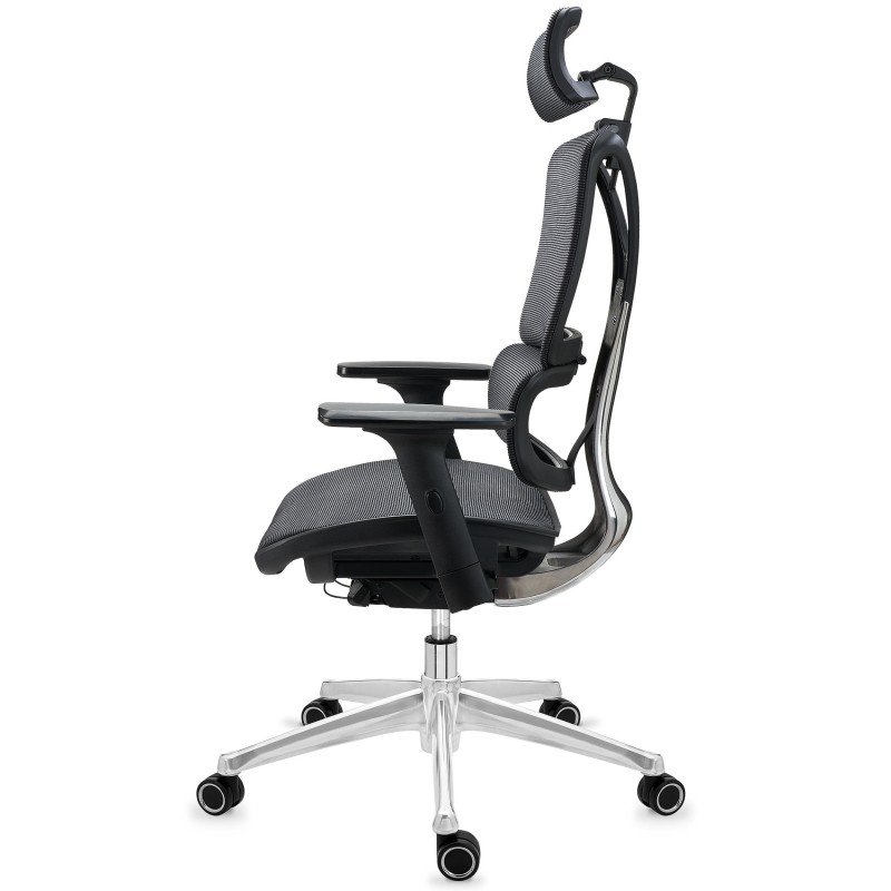 Silla ergonómica APOLO, ajustable y de gran calidad, negro