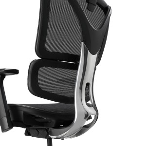 Silla ergonómica APOLO, ajustable y de gran calidad, negro