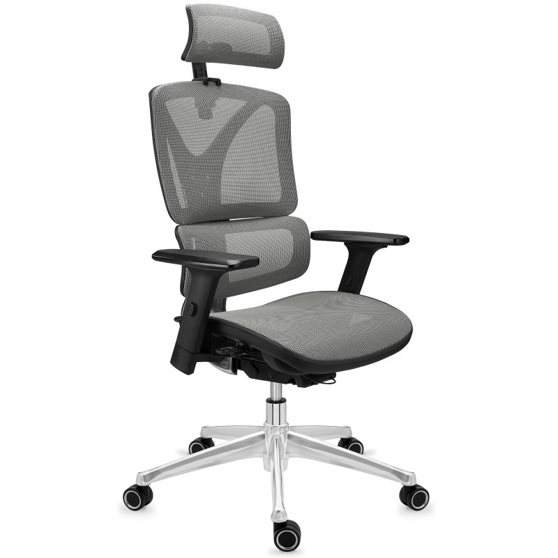 Silla ergonómica APOLO, ajustable y de gran calidad, negro