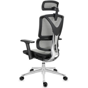 Silla ergonómica APOLO, ajustable y de gran calidad, negro