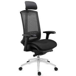 Silla ergonómica RAPTOR, totalmente ajustable, gran calidad, negro