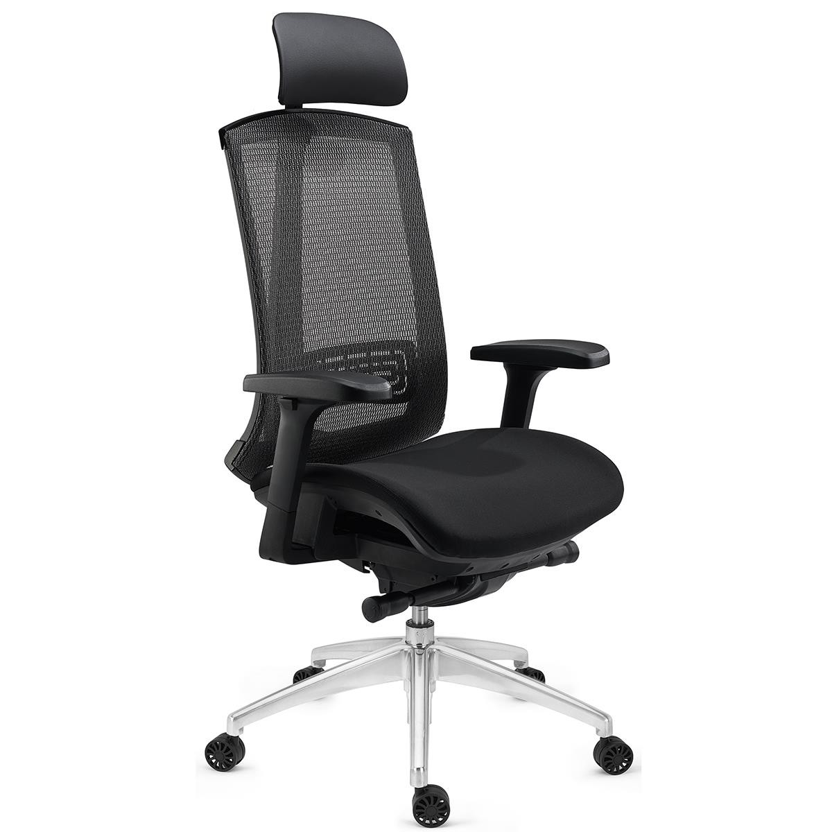 Silla Ergonómica RAPTOR, Avanzado Diseño, Máxima Adaptabilidad, Uso Profesional, En Negro