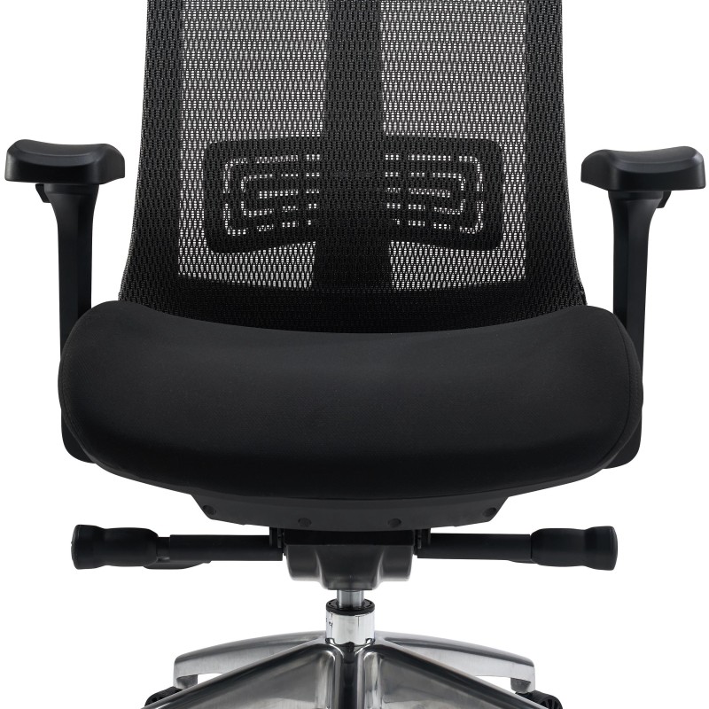 Silla ergonómica RAPTOR, totalmente ajustable, gran calidad, negro