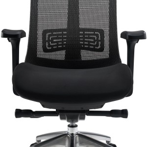 Silla ergonómica RAPTOR, totalmente ajustable, gran calidad, negro