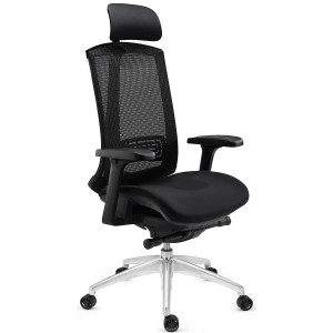 Silla ergonómica RAPTOR, totalmente ajustable, gran calidad, negro