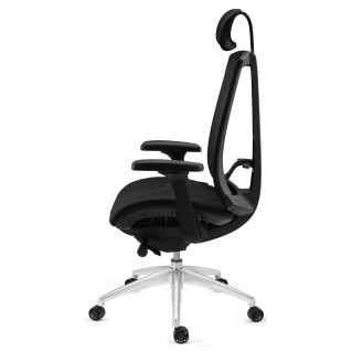 Silla ergonómica RAPTOR, totalmente ajustable, gran calidad, negro 2