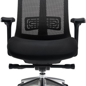 Silla ergonómica RAPTOR, totalmente ajustable, gran calidad, negro