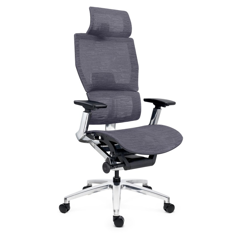Silla Ergonómica ERGOPLUS, Reposacabezas, Estructura Metal, Negro