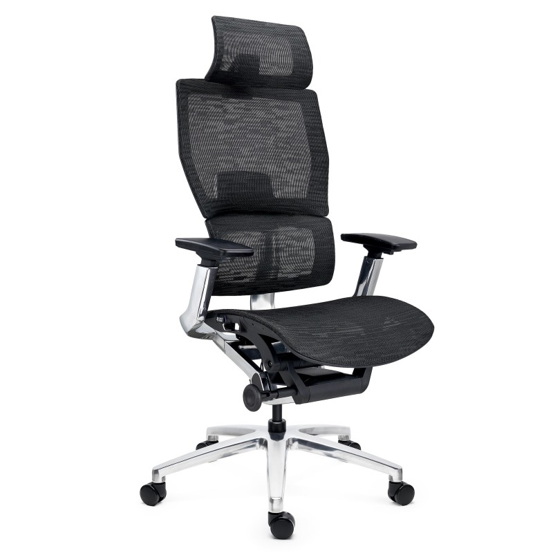 Silla Ergonómica ERGOPLUS, Reposacabezas, Estructura Metal, Negro