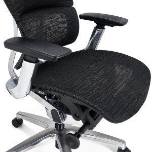 Silla Ergonómica ERGOPLUS, Reposacabezas, Estructura Metal, Negro