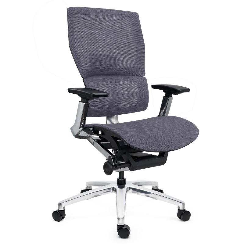Silla Ergonómica ERGOPLUS, Premium, Estructura Metal, Malla Negra
