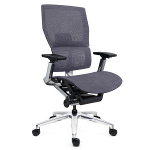 Silla Ergonómica ERGOPLUS, Premium, Estructura Metal, Malla Negra