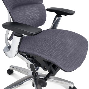 Silla Ergonómica ERGOPLUS, Premium, Estructura Metal, Malla Negra