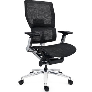 Silla Ergonómica ERGOPLUS, Premium, Estructura Metal, Malla Negra