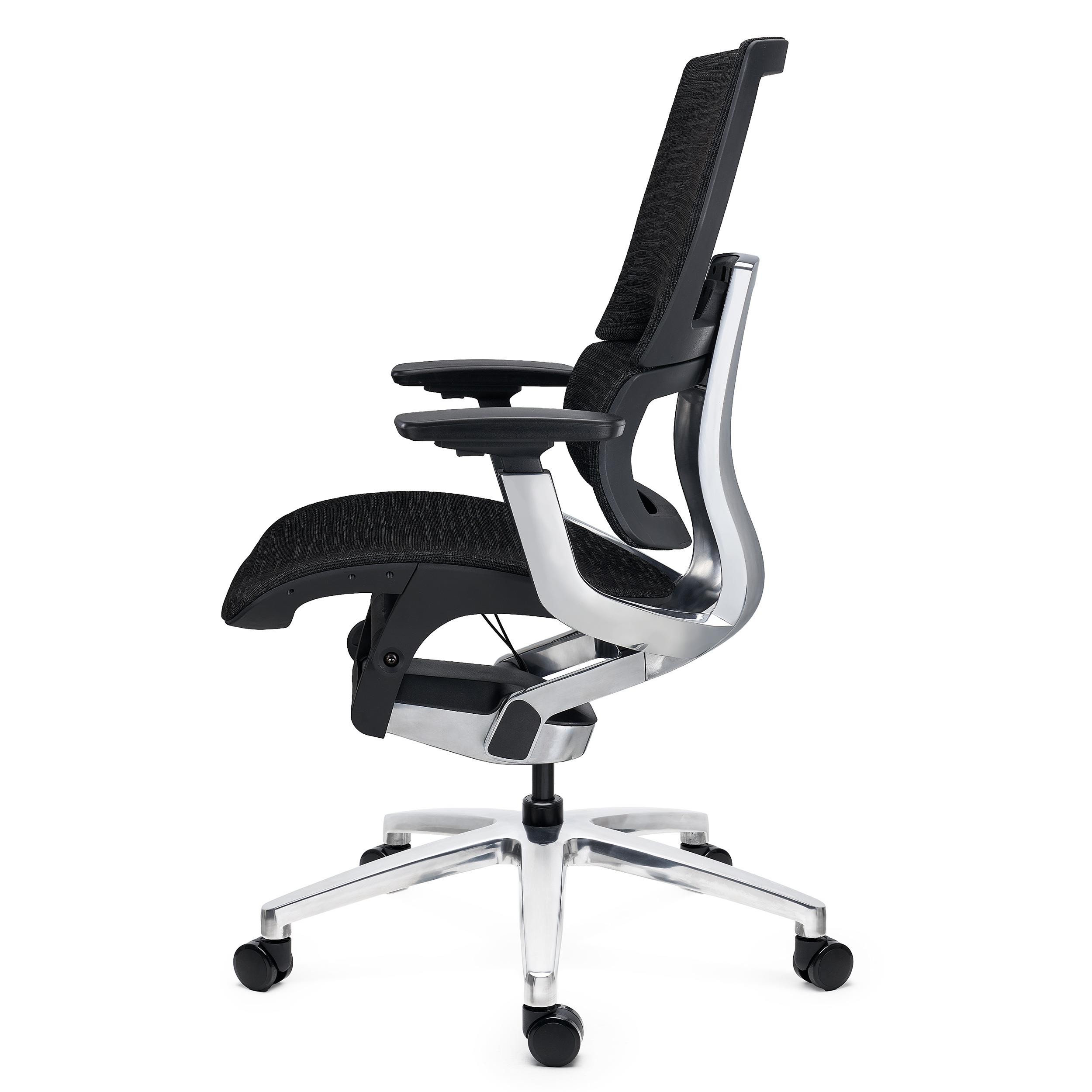 Silla Ergonómica ERGOPLUS, Estructura Metal, Calidad Premium, Uso Profesional, Negro