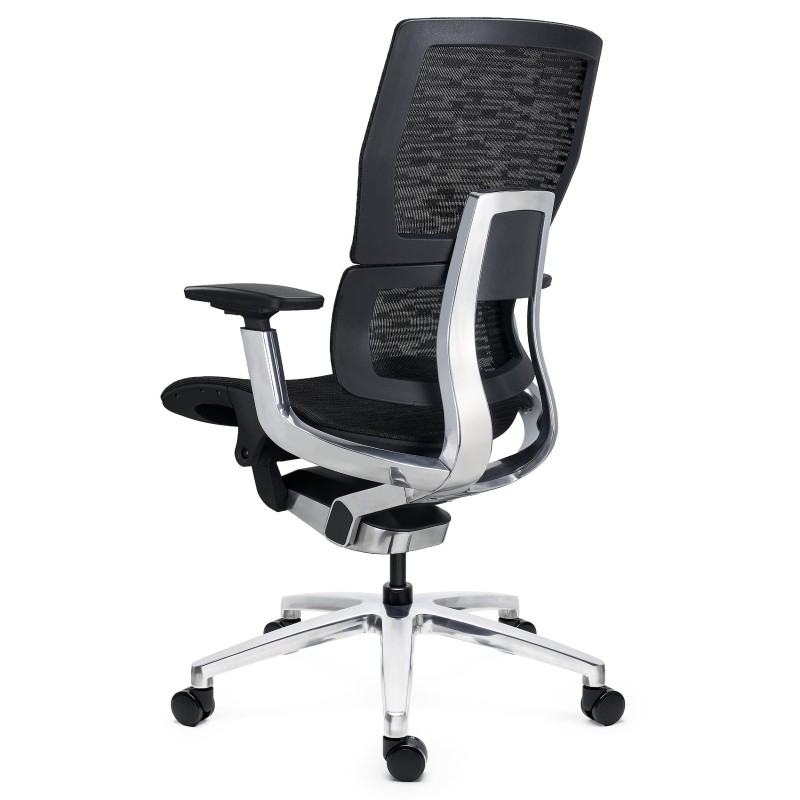 Silla Ergonómica ERGOPLUS, Premium, Estructura Metal, Malla Negra