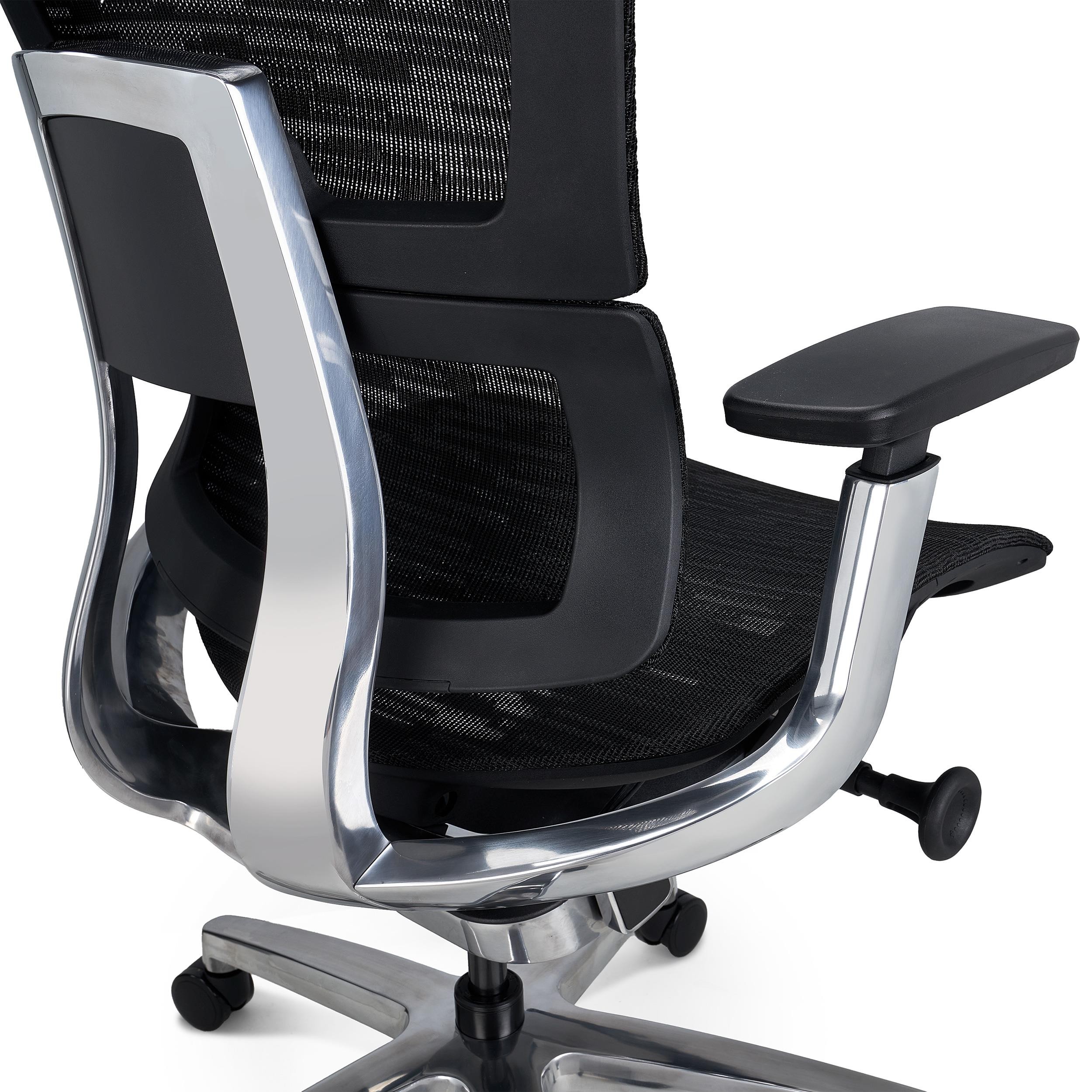 Silla Ergonómica ERGOPLUS, Estructura Metal, Calidad Premium, Uso Profesional, Negro