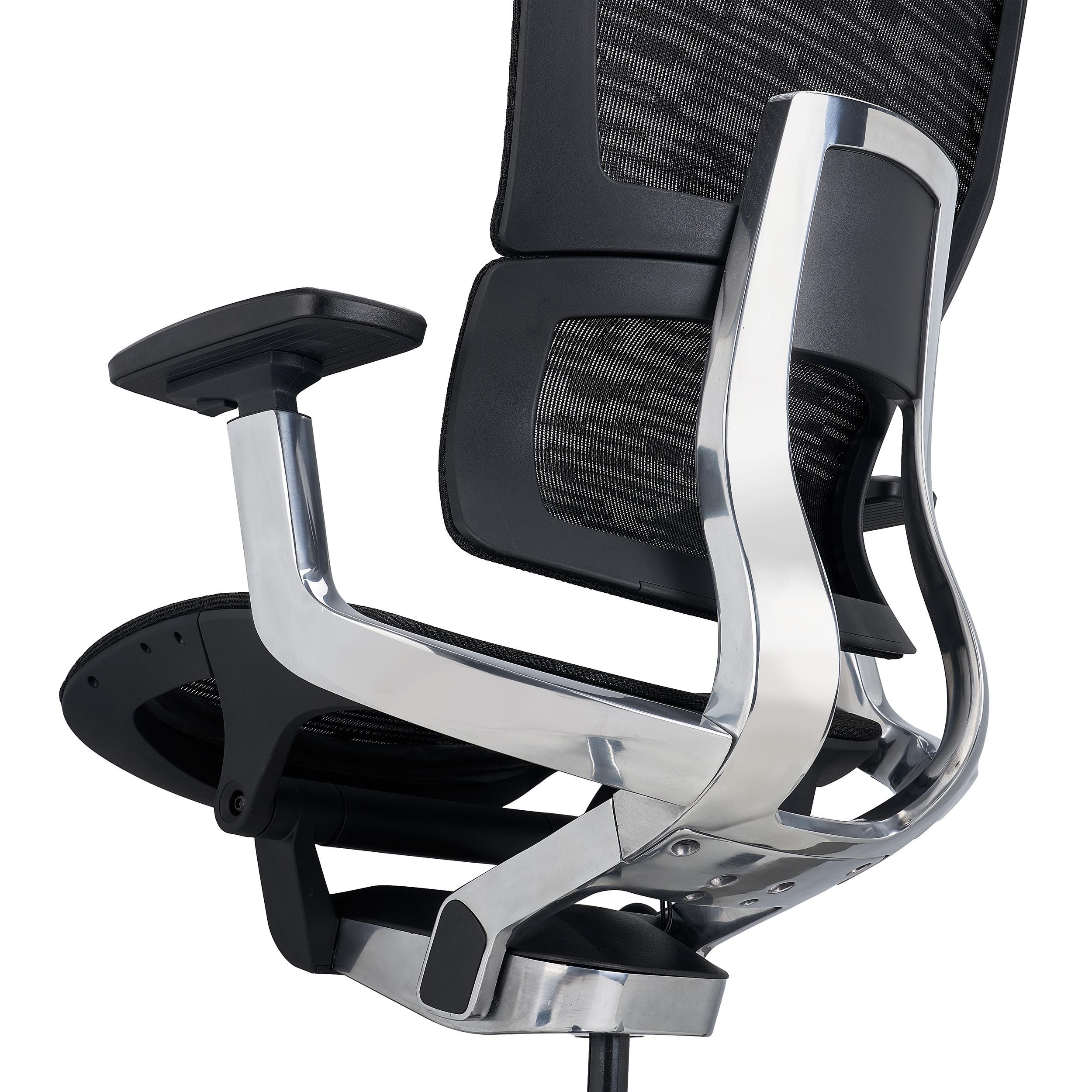 Silla Ergonómica ERGOPLUS, Estructura Metal, Calidad Premium, Uso Profesional, Negro