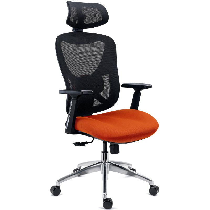 Silla Ergonómica URUS, Muy Ajustable, Espuma Inyectada, Negro