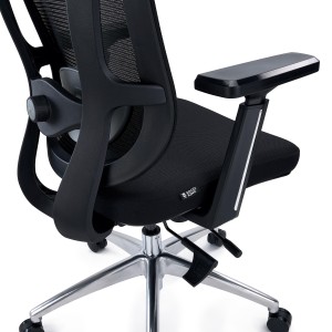 Silla Ergonómica ASTON, Elegante y Ajustable, Uso 8H, Negro