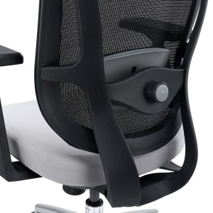 Silla Ergonómica ASTON, Elegante y Ajustable, Uso 8H, Negro