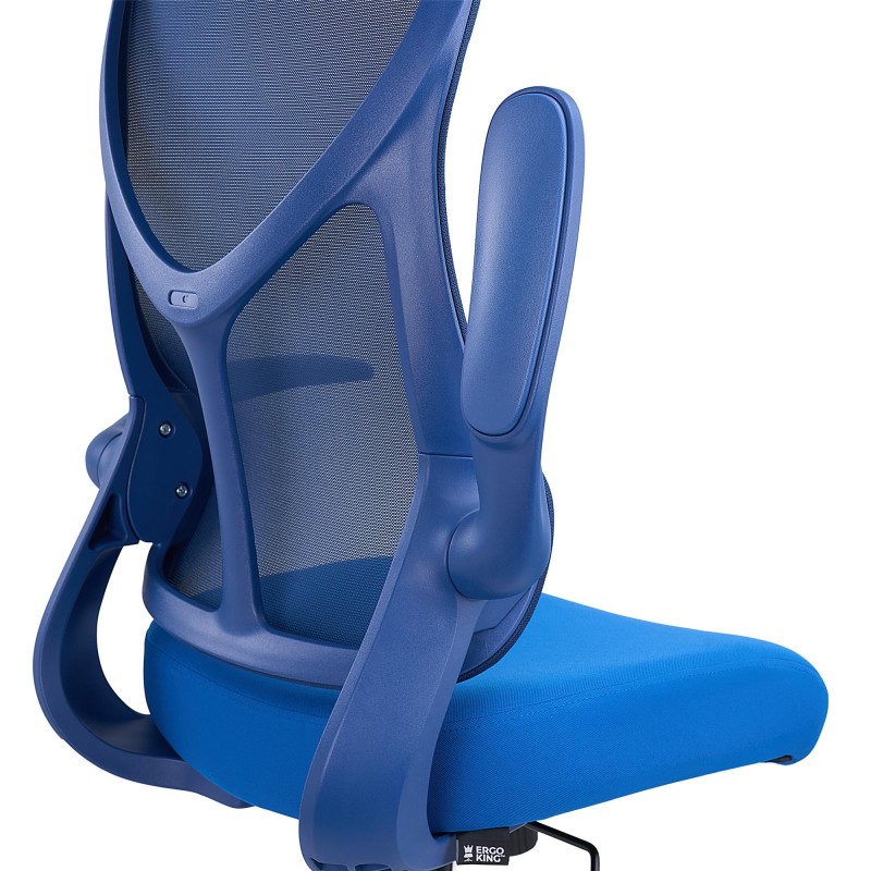 Silla de Oficina DAFNE, brazos abatibles, azul