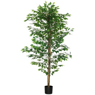 Planta de Oficina VITAL, Altura 180 cm, Ficus Artificial con Maceta Incluida 2