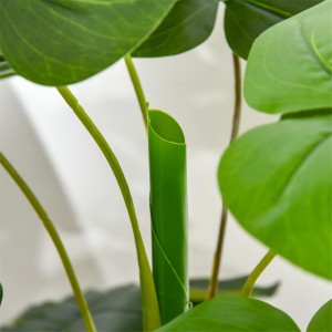 Planta para Despacho LUMA, Altura 120 cm, Árbol Tropical con Maceta Incluida