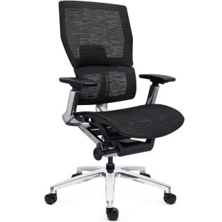 Silla Ergonómica ERGOPLUS, Premium, Estructura Metal, Malla Negra